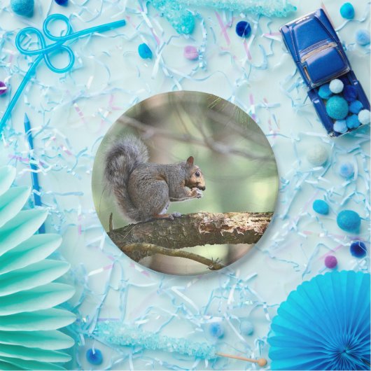 Assiettes En Carton Écureuil Dans Les Plaques De Papier Forestier (Fête)