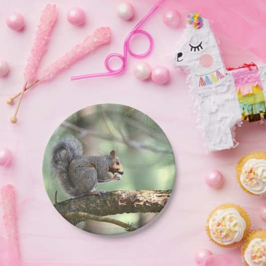 Assiettes En Carton Écureuil Dans Les Plaques De Papier Forestier (Fête)