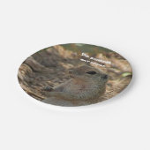 Assiettes En Carton Écureuil de sol comestible à l'humour Photo Sud-ou (Angle)