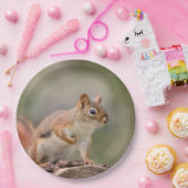 Assiettes En Carton Écureuil rouge (Fête)