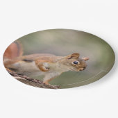 Assiettes En Carton Écureuil rouge (Angle)