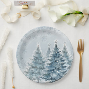 Assiettes En Carton Elégant Pays des merveilles d'hiver bleu et argent