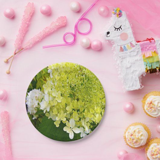 Assiettes En Carton Élégante Chartreuse Vert Limelight Hydrangea (Fête)