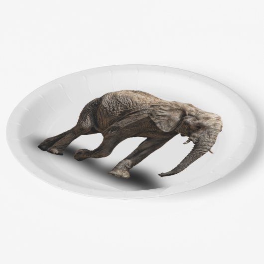 ASSIETTES EN CARTON ÉLÉPHANT (Angle)