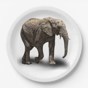 ASSIETTES EN CARTON ÉLÉPHANT