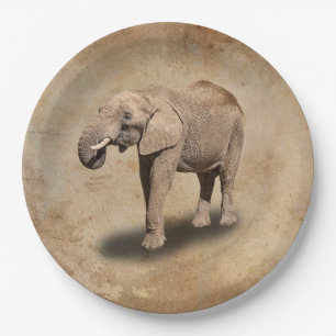 ASSIETTES EN CARTON ÉLÉPHANT