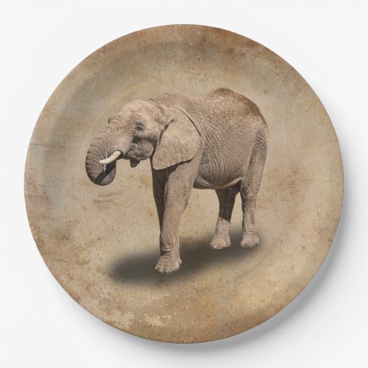 ASSIETTES EN CARTON ÉLÉPHANT (Devant)