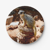 Assiettes En Carton Eliza Queen Of The Meerkats, Plaques Papier (Devant)