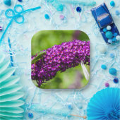 Assiettes En Carton énergie katydone (Fête)