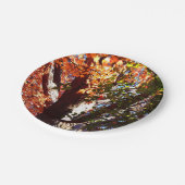 Assiettes En Carton Érables majestueuses - première vue sur les arbres (Angle)