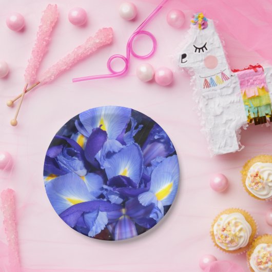 Assiettes En Carton Ermengarde (Fête)