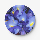 Assiettes En Carton Ermengarde (Devant)