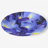 Assiettes En Carton Ermengarde (Angle)