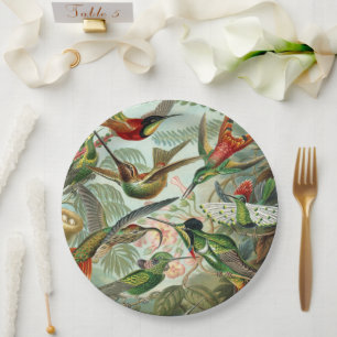 Assiettes En Carton Ernst Haeckel Art Imprimer : Trochilidae
