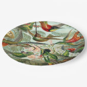 Assiettes En Carton Ernst Haeckel Art Imprimer : Trochilidae (Angle)