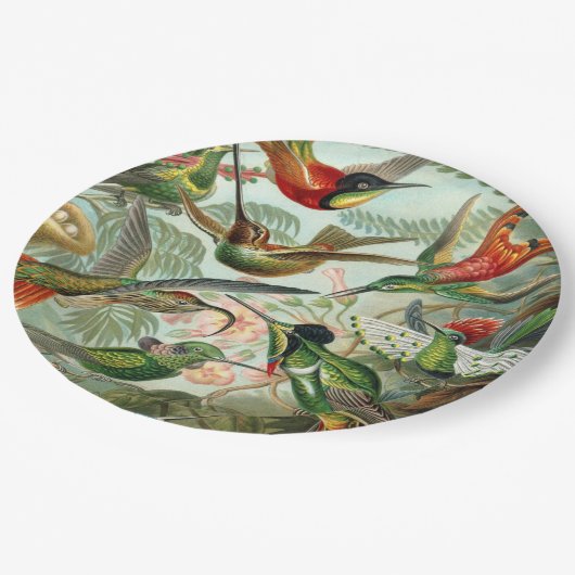 Assiettes En Carton Ernst Haeckel Art Imprimer : Trochilidae (Angle)