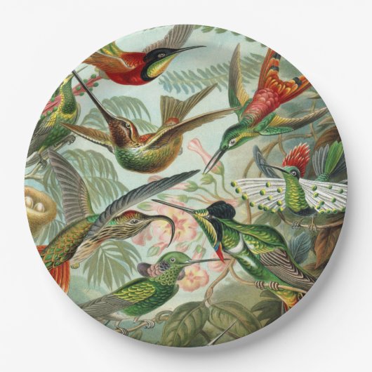 Assiettes En Carton Ernst Haeckel Art Imprimer : Trochilidae (Devant)