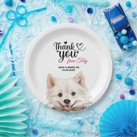 Assiettes En Carton Eskimo (Fête)