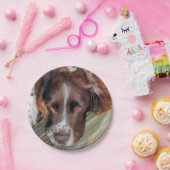 ASSIETTES EN CARTON ESPAGNE (Fête)