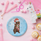 Assiettes En Carton Espagnol de Noël Boykin (Fête)