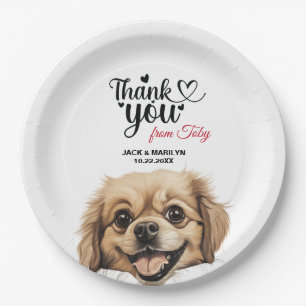 Assiettes En Carton Espagnol tibétain