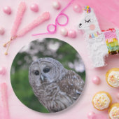 Assiettes En Carton Esprit Du Chou (Fête)