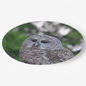 Assiettes En Carton Esprit Du Chou (Angle)