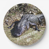 Assiettes En Carton Est-ce le temps du dîner Pourtant demande à l'Alli (Devant)