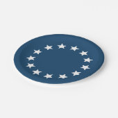 Assiettes En Carton Étoiles coloniales américaines de drapeau (Angle)