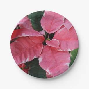 Assiettes En Carton Étoiles d'Argent Marbre Poinsettias Roses Fleurs d