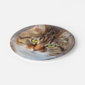 Assiettes En Carton Face de chat (Angle)