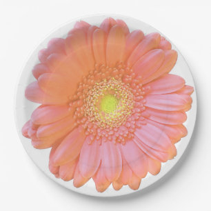 Assiettes En Carton Faisée de gerbera orange