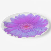 Assiettes En Carton Faisée de gerbera violette (Angle)