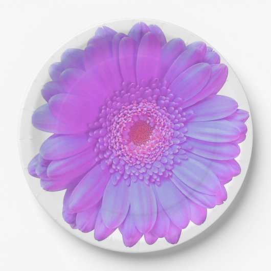 Assiettes En Carton Faisée de gerbera violette (Devant)