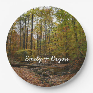 Assiettes En Carton Fall Creek à Laurel Hill State Park Pennsylvania