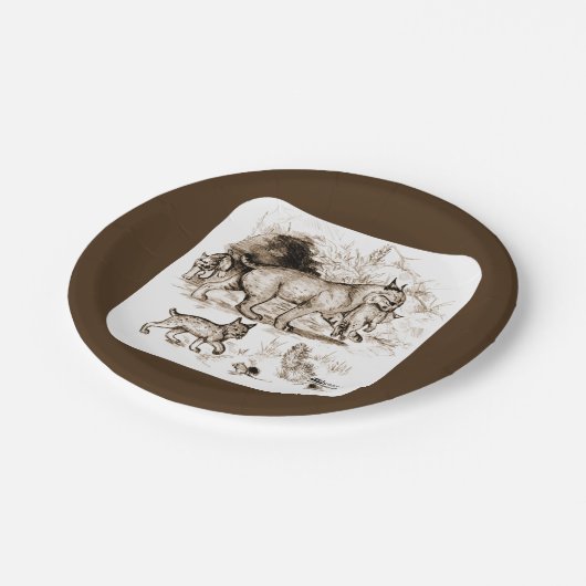 Assiettes En Carton Famille Bobcat (Angle)