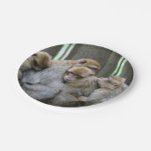 Assiettes En Carton Famille Cute Ape Photo Hug (Angle)