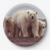 Assiettes En Carton Famille d'ours polaires (Devant)