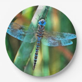 Assiettes En Carton Fantasy Dragonfly (Devant)