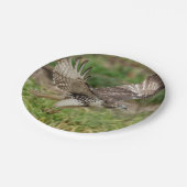 Assiettes En Carton Faucon coupé la queue par rouge non mûr (Angle)