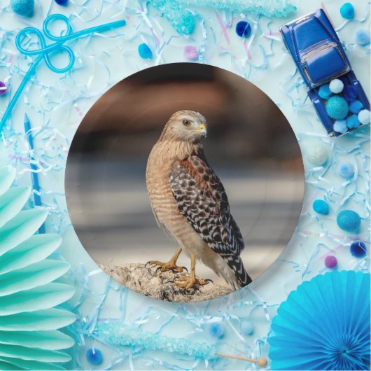 Assiettes En Carton Faucon épaulé rouge sur une roche (Fête)