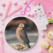 Assiettes En Carton Faucon épaulé rouge sur une roche (Fête)