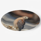 Assiettes En Carton Faucon épaulé rouge sur une roche (Angle)