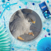 Assiettes En Carton Faucon pèlerin le long de la rivière Hudson (Fête)