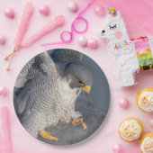 Assiettes En Carton Faucon pèlerin le long de la rivière Hudson (Fête)