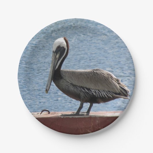 Assiettes En Carton Faune Brown Pelican Water Photo (Devant)