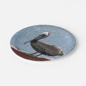 Assiettes En Carton Faune Brown Pelican Water Photo (Angle)