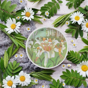 Assiettes En Carton Fée Floral Garden Enchanted Forest Girl Anniversai