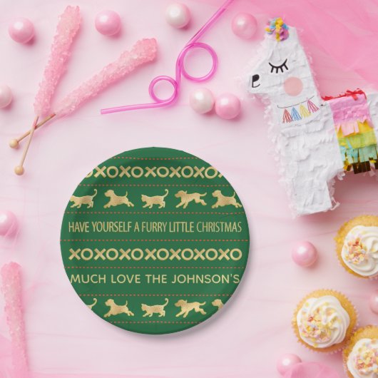 Assiettes En Carton Fer de Noël Petit Noël (Fête)