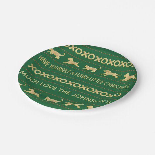 Assiettes En Carton Fer de Noël Petit Noël (Angle)